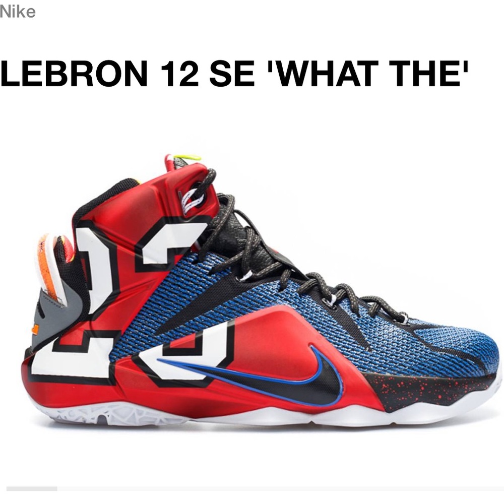 Nike LeBron XII SE What The -